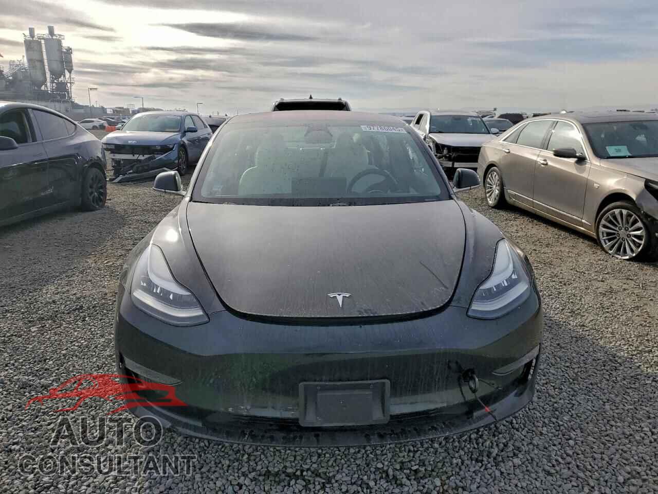 TESLA MODEL 3 2019 - 5YJ3E1EA7KF314772