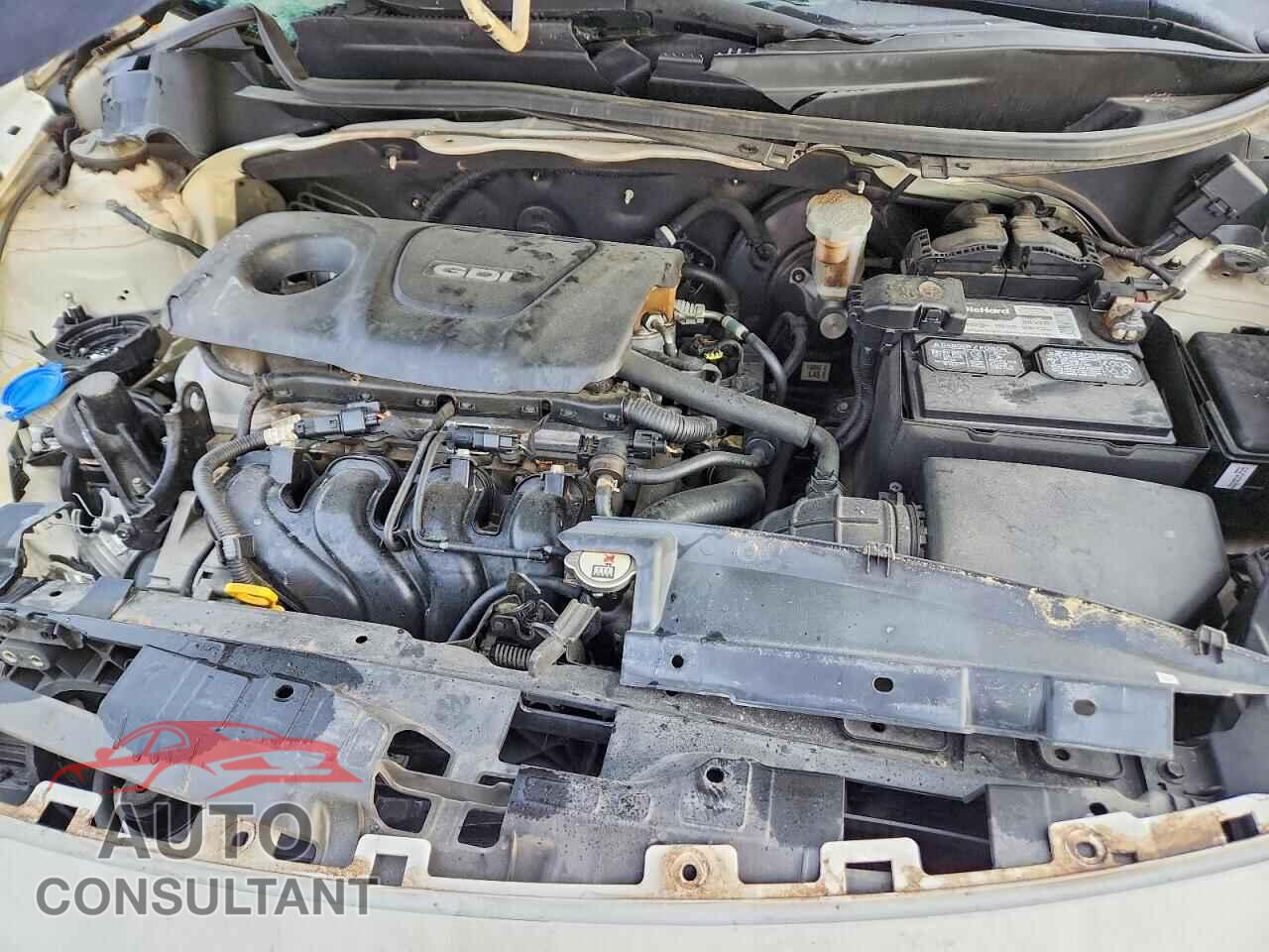 KIA RIO 2017 - KNADM4A34H6016357