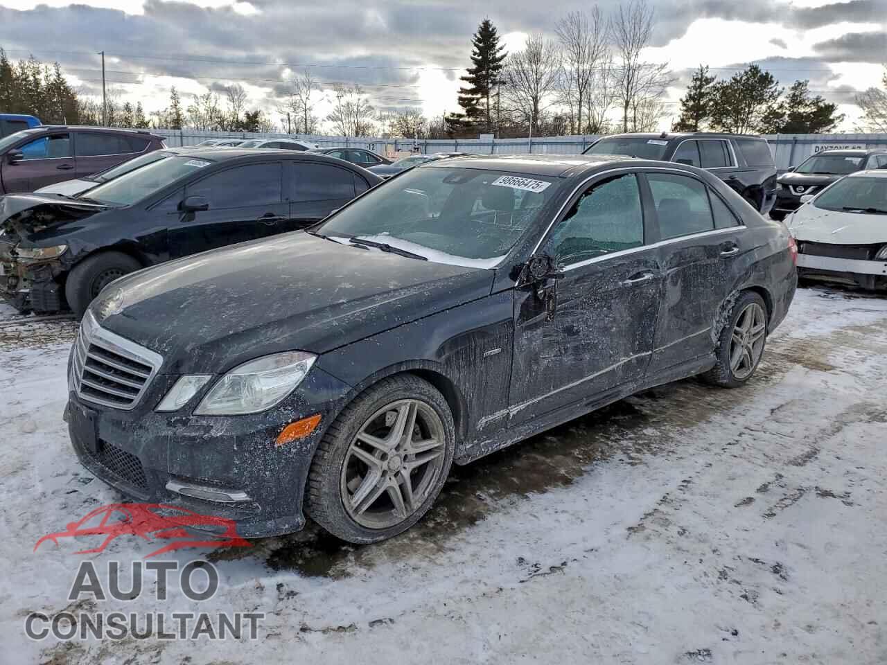 MERCEDES-BENZ E-CLASS 2012 - WDDHF8JB6CA630092