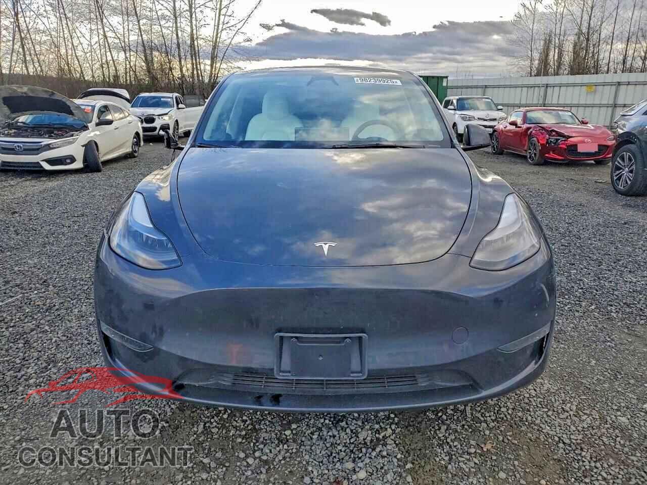 TESLA MODEL Y 2024 - 7SAYGDEE5RF088927