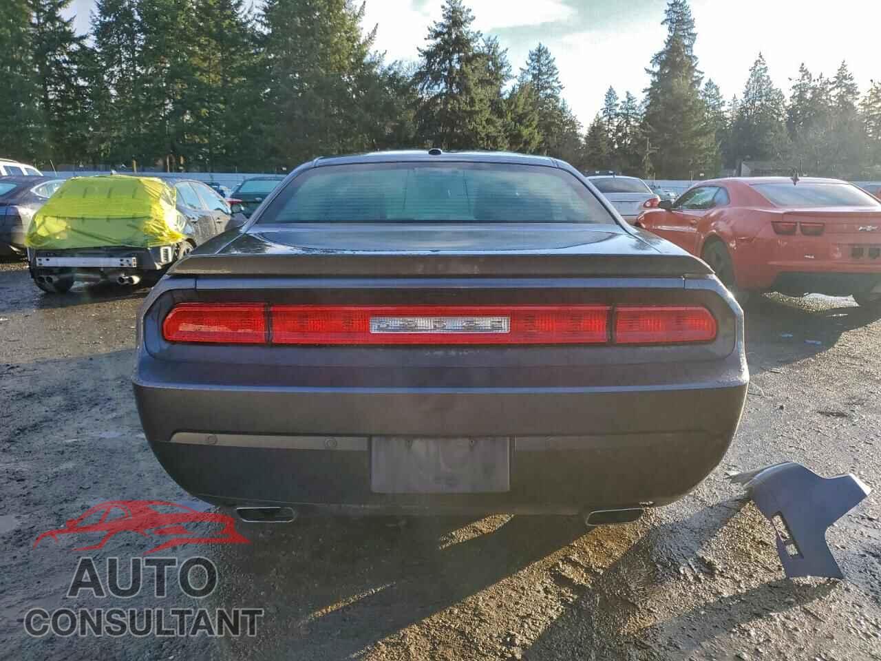 DODGE CHALLENGER 2013 - 2C3CDYBT5DH670303