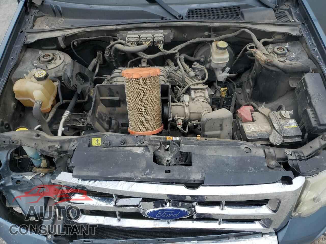 FORD ESCAPE 2011 - 1FMCU0EG6BKC17613
