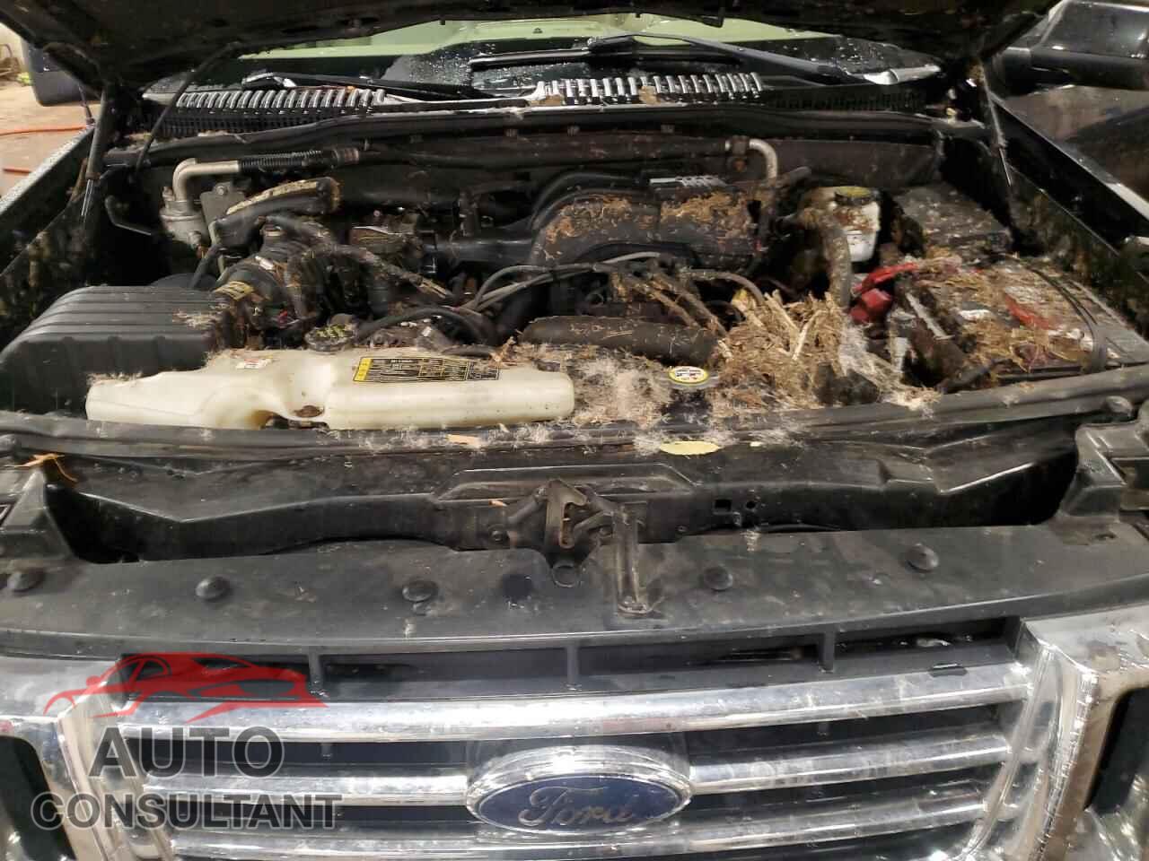 FORD EXPLORER 2010 - 1FMEU7EE2AUA92838