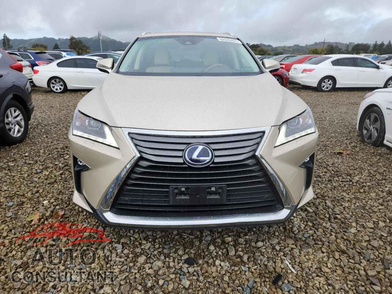 LEXUS RX450 2019 - 2T2BGMCA6KC031760