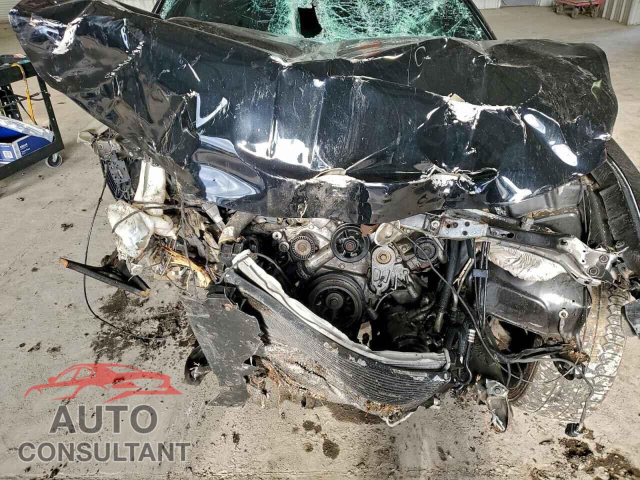 DODGE CHARGER 2019 - 2C3CDXKT2KH647519
