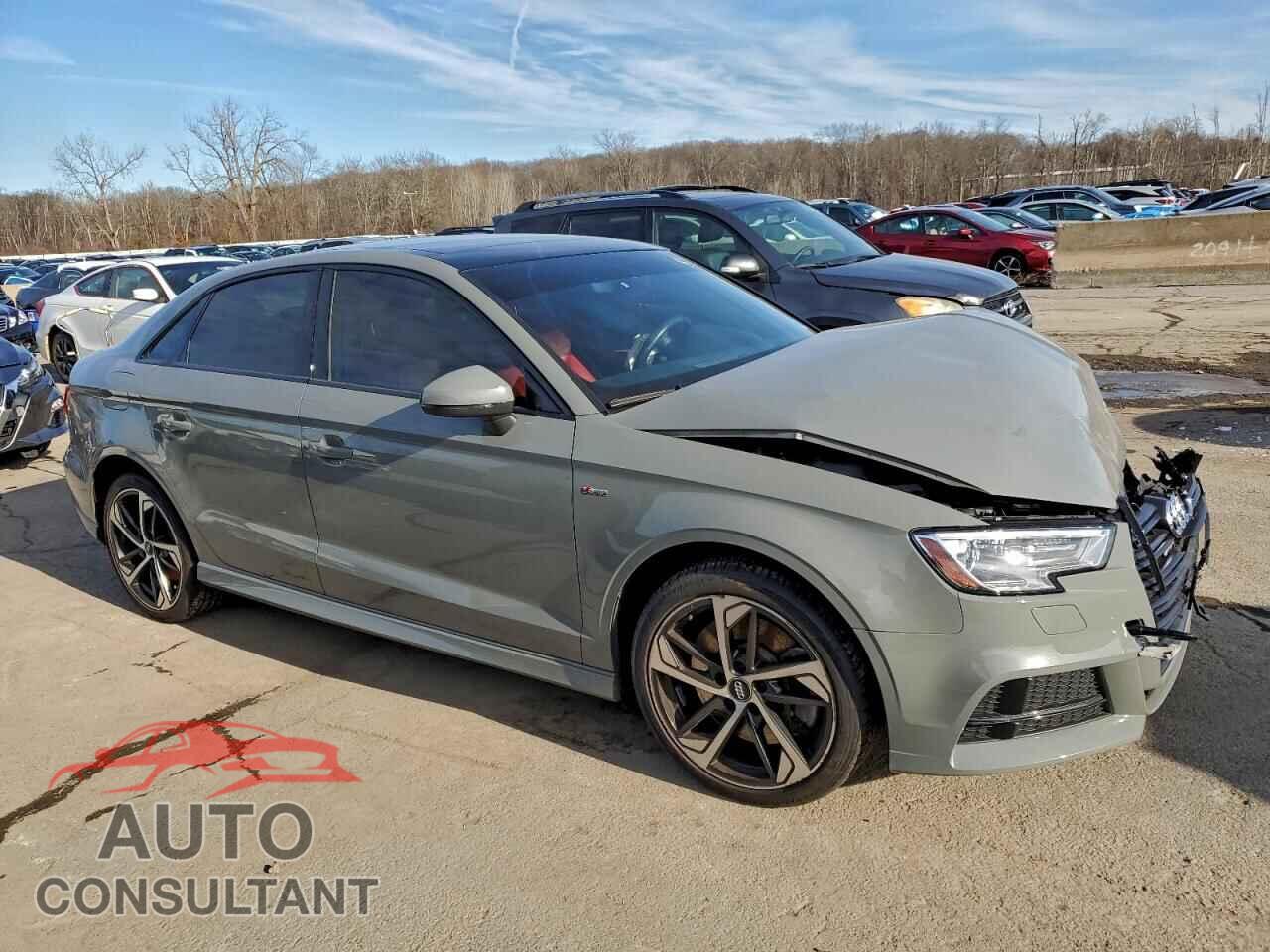 AUDI A3 2020 - WAUBEGFF2LA096028