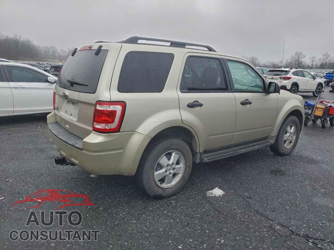 FORD ESCAPE 2010 - 1FMCU9D72AKA35606