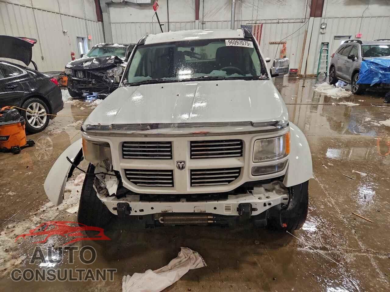 DODGE NITRO 2011 - 1D4PU4GK6BW601448