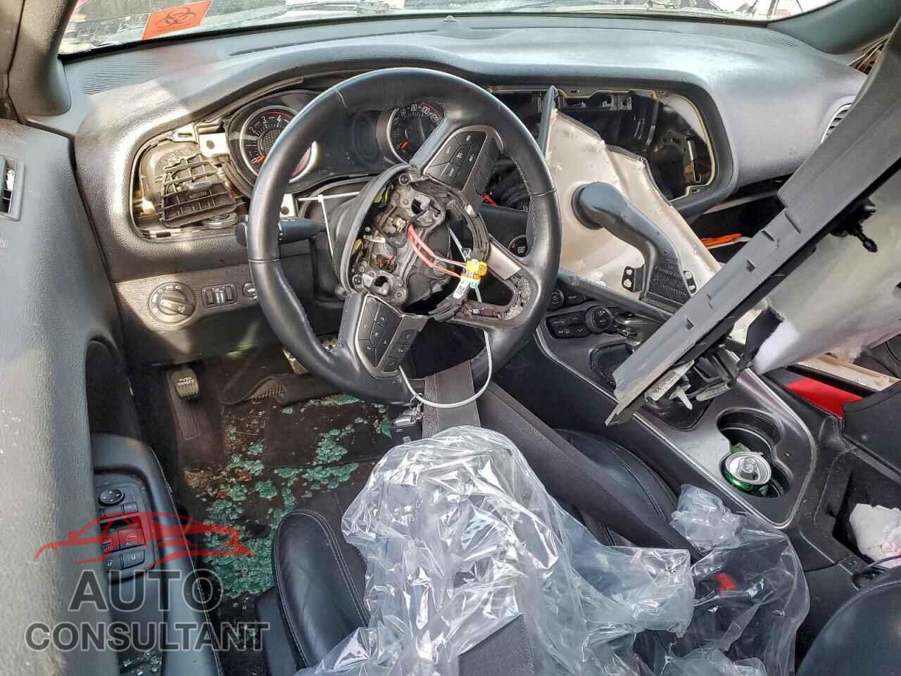 DODGE CHALLENGER 2019 - 2C3CDZAG5KH522031