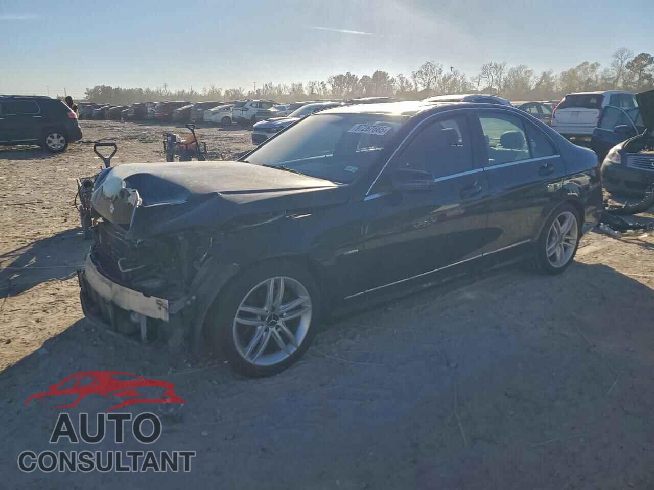MERCEDES-BENZ C-CLASS 2012 - WDDGF4HB8CR215111