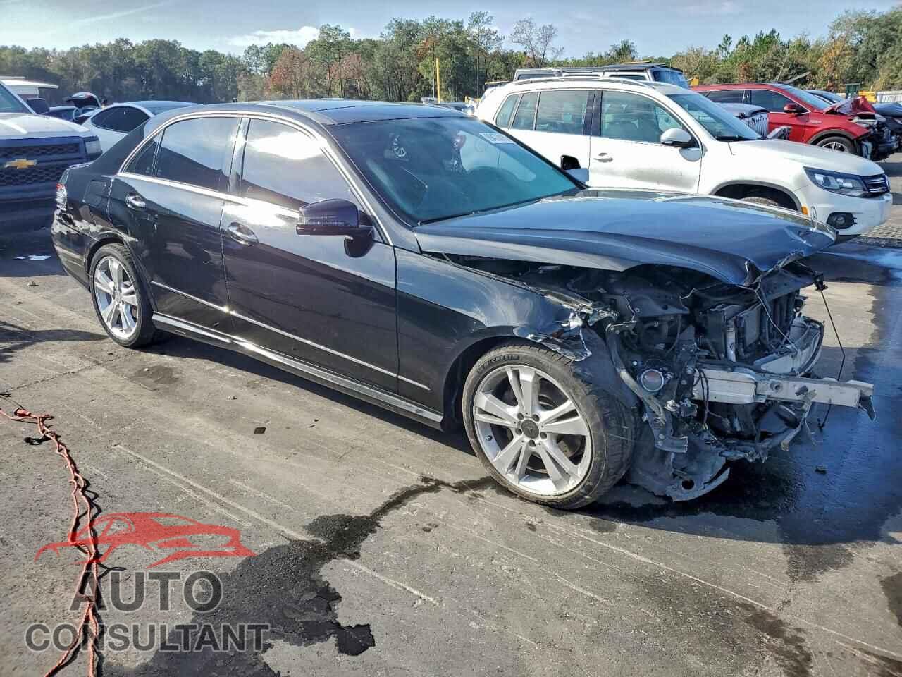MERCEDES-BENZ E-CLASS 2013 - WDDHF5KB9DA692942