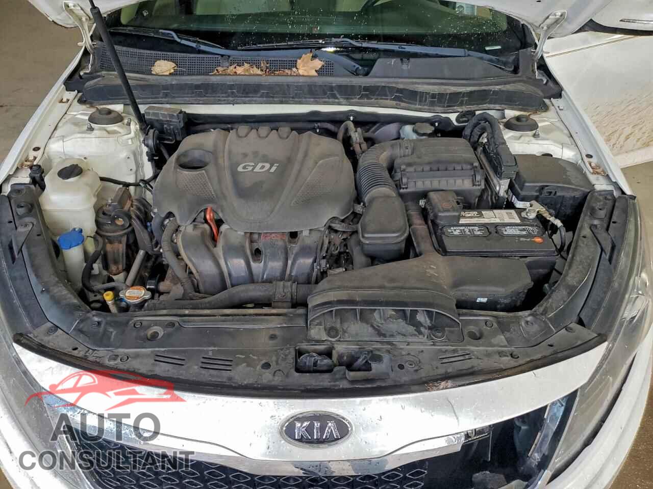 KIA OPTIMA 2011 - KNAGN4A71B5120136