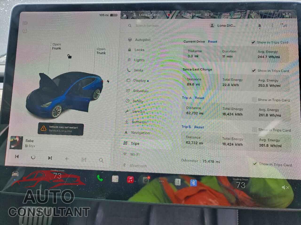 TESLA MODEL 3 2021 - 5YJ3E1EC3MF981150