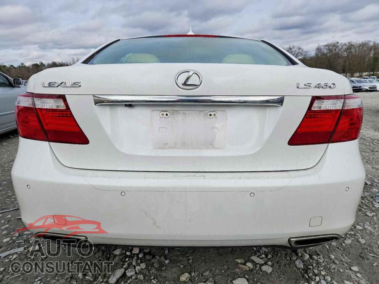 LEXUS LS460 2009 - JTHBL46F395091380