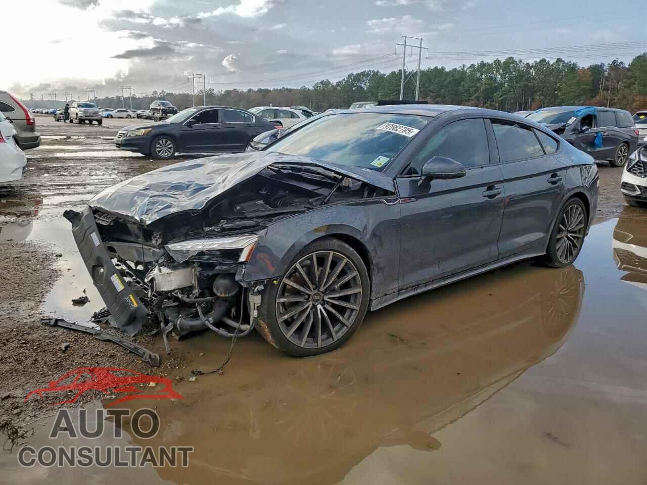 AUDI A5 2022 - WAUCBCF53NA011388