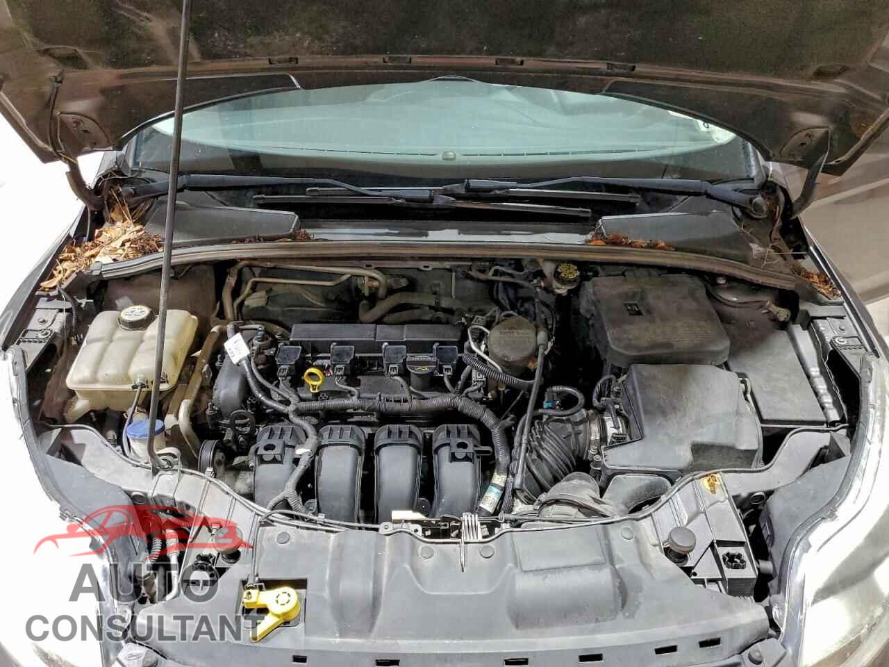 FORD FOCUS 2012 - 1FAHP3E24CL282730