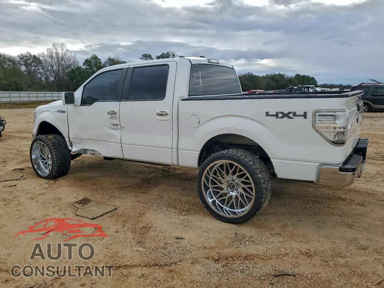 FORD F-150 2013 - 1FTFW1EF3DFD63441