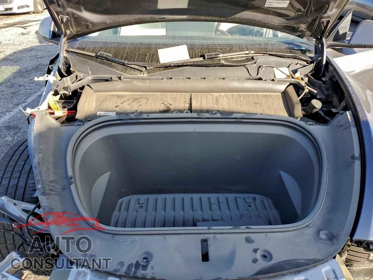 TESLA MODEL Y 2023 - 7SAYGDED5PF962441