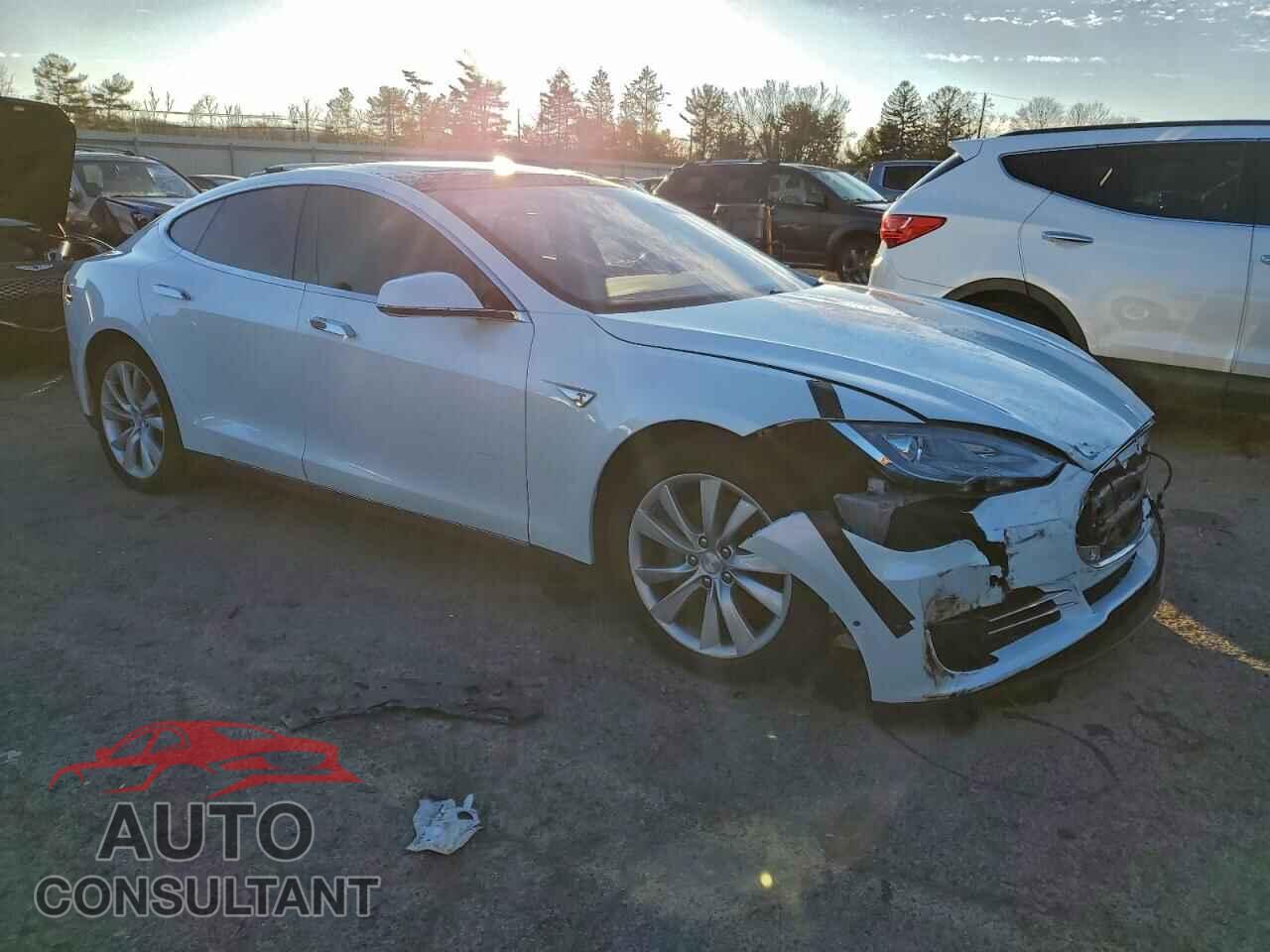 TESLA MODEL S 2015 - 5YJSA1E12FF109602