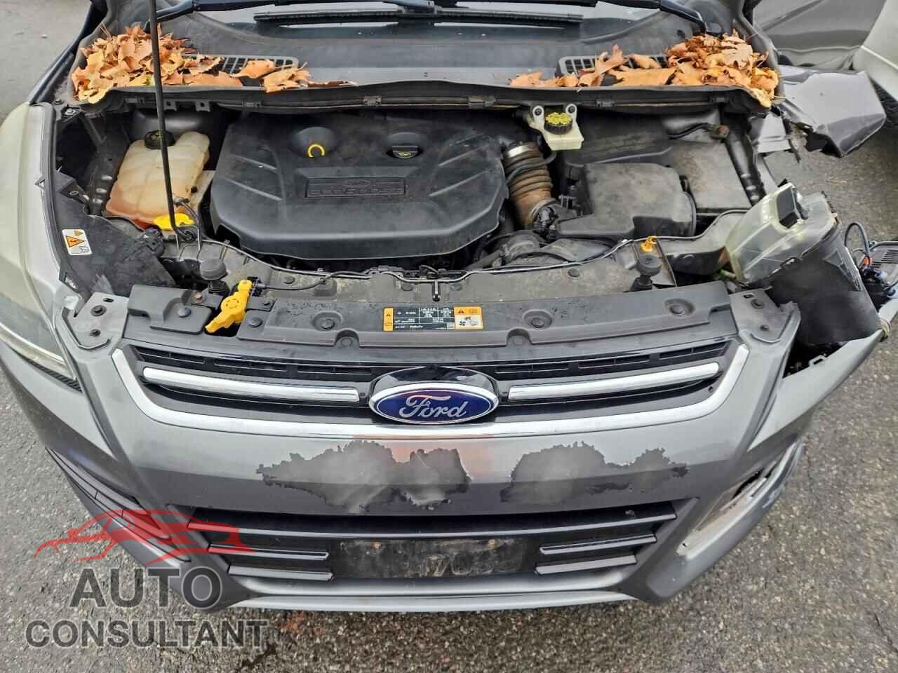 FORD ESCAPE 2014 - 1FMCU9J96EUA65594