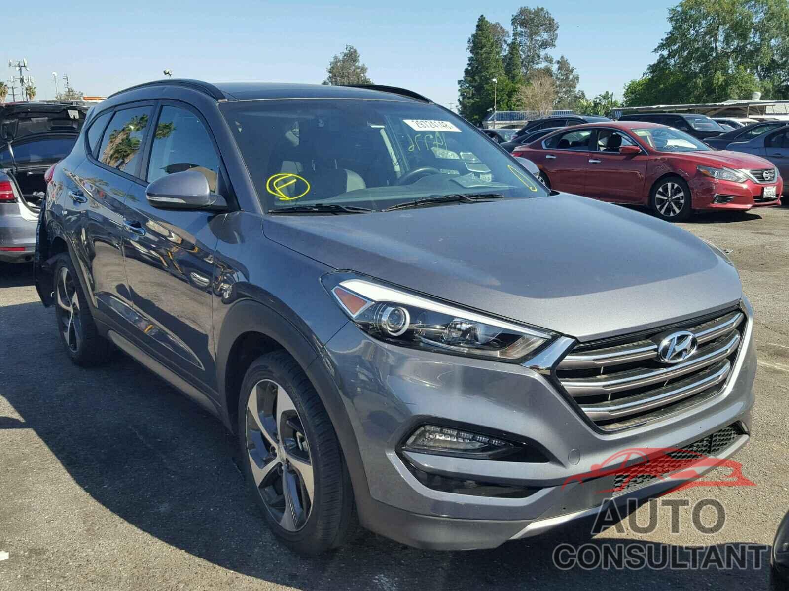 HYUNDAI TUCSON 2016 - KM8J33A20GU226566
