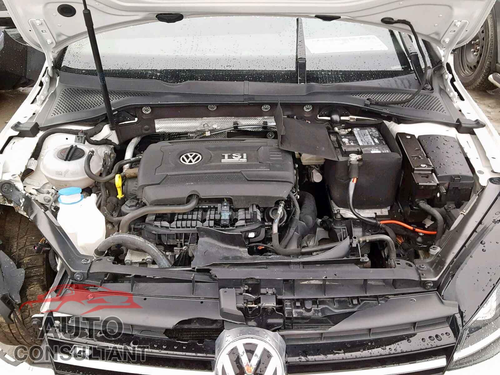 VOLKSWAGEN GOLF 2017 - 3VWDB7AJ9HM290420