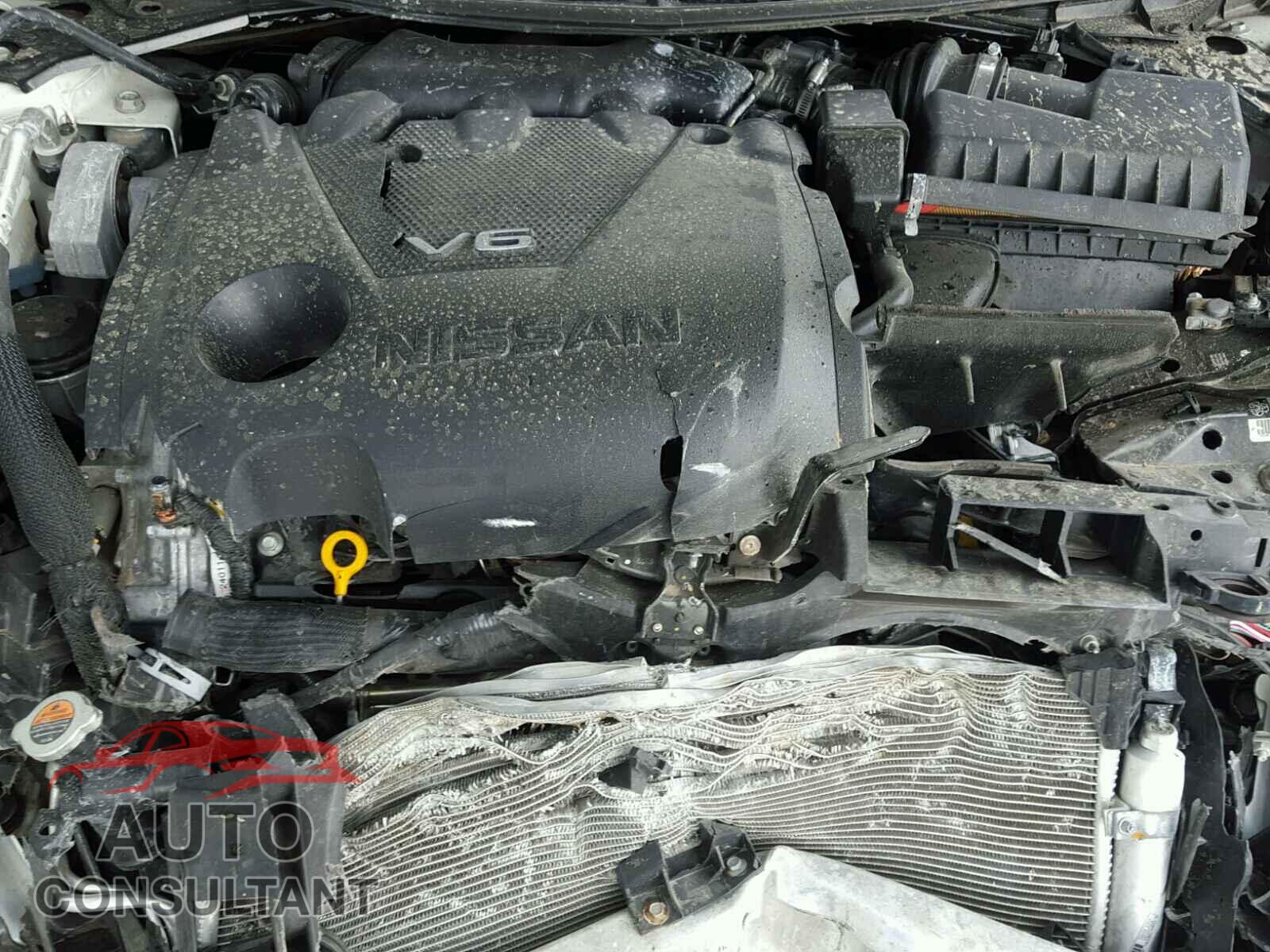 NISSAN MAXIMA 2017 - 1N4AA6AP2HC413490