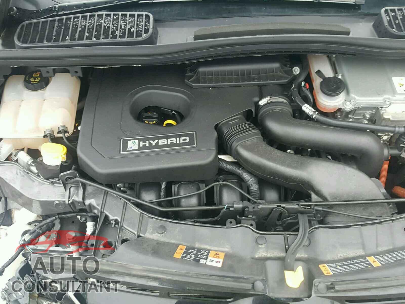 FORD CMAX 2016 - 1FADP5BU3GL112154