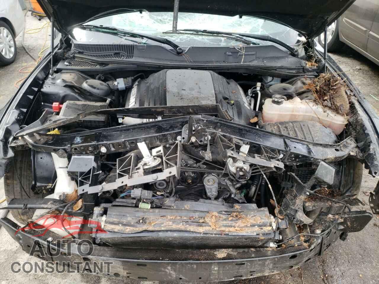 DODGE CHALLENGER 2019 - 2C3CDZBT7KH502844
