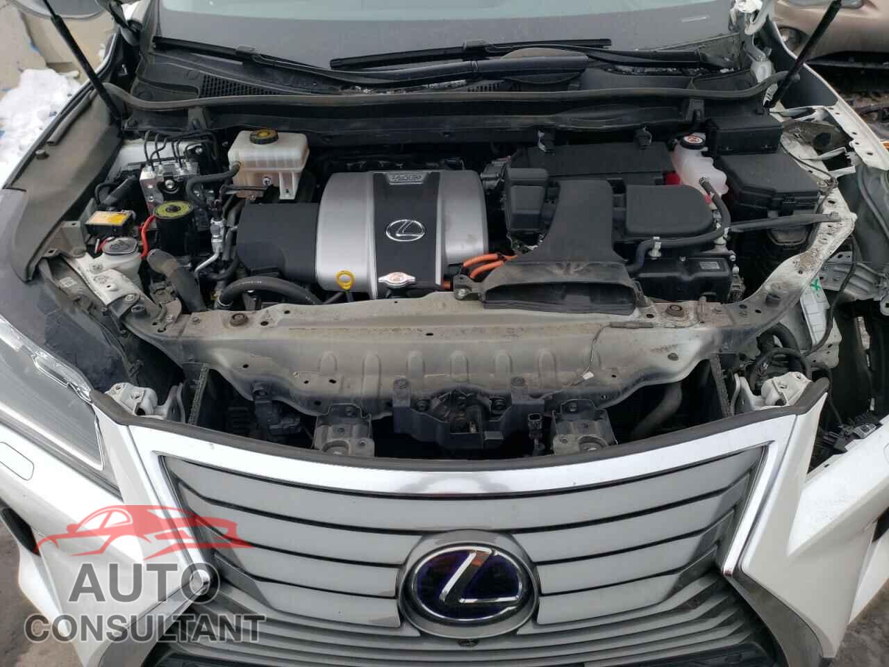 LEXUS RX450 2019 - 2T2BGMCA4KC035466