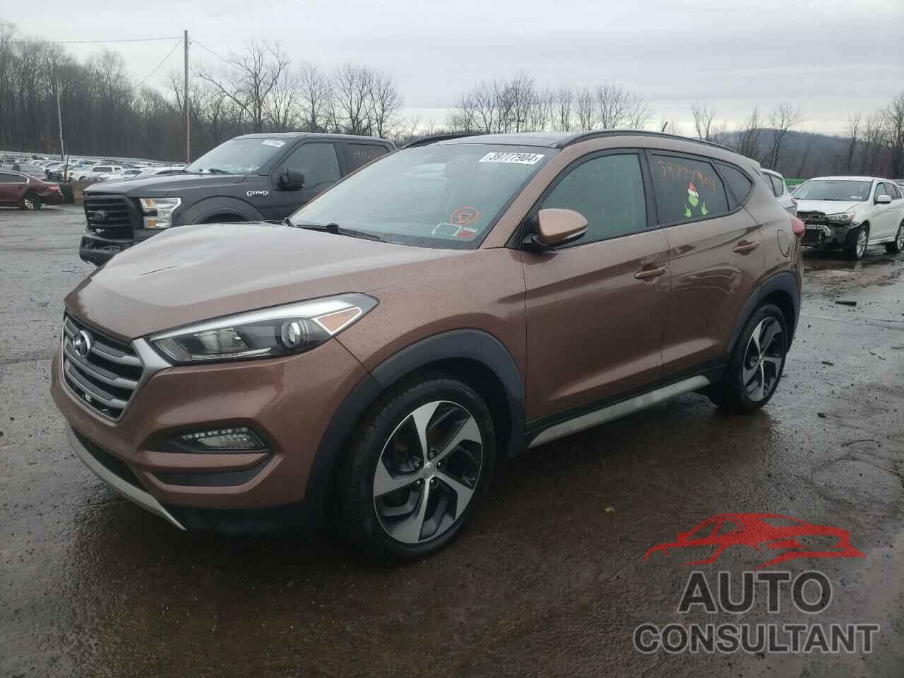 HYUNDAI TUCSON 2017 - KM8J3CA29HU554523