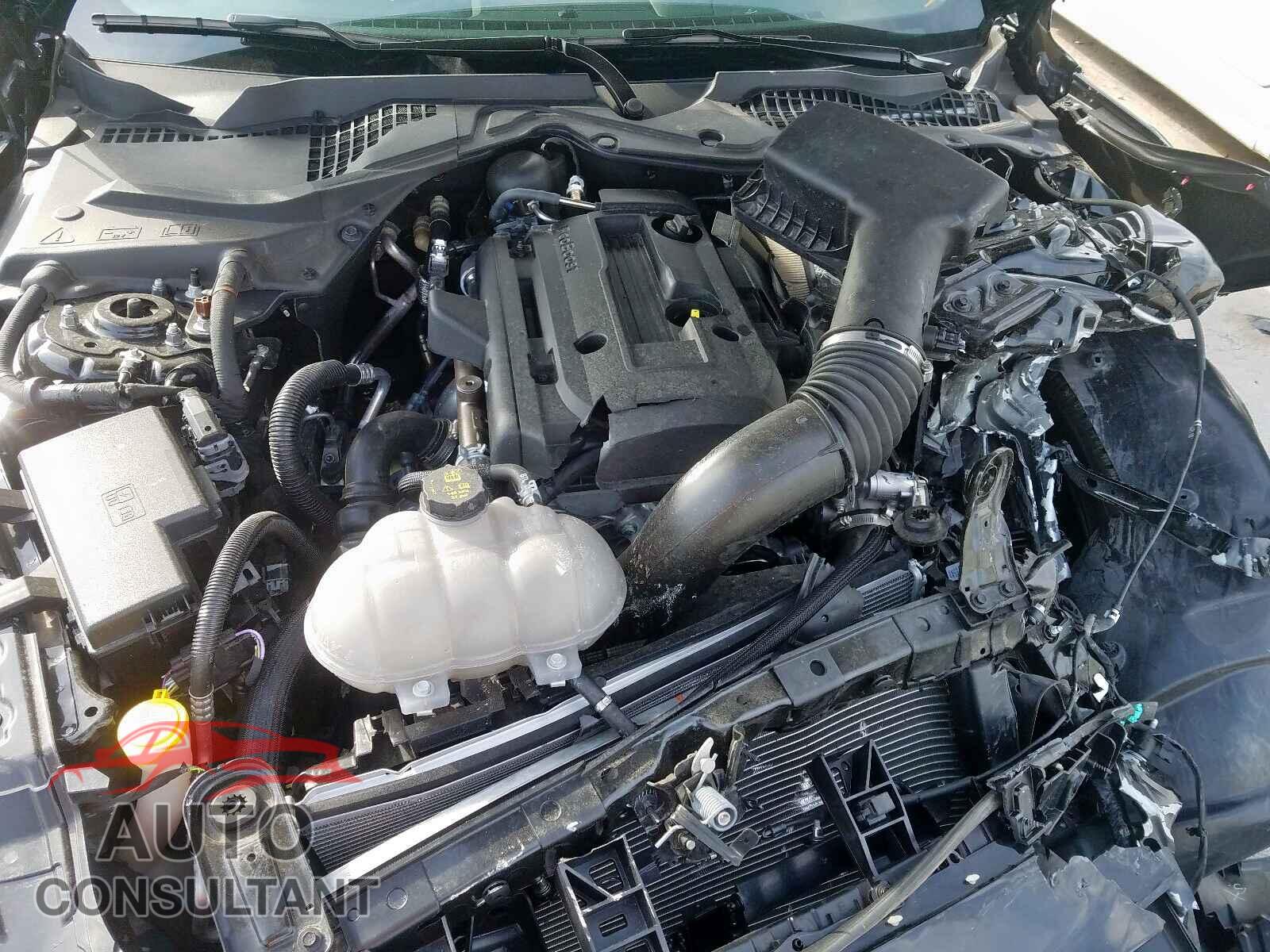 FORD MUSTANG 2019 - 1FA6P8TH5K5168606