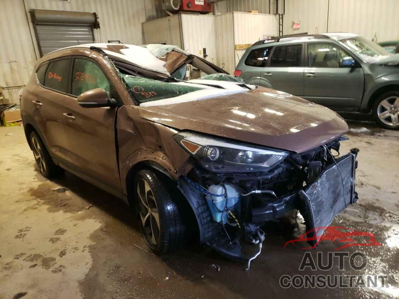 HYUNDAI TUCSON 2016 - KM8J3CA22GU023159