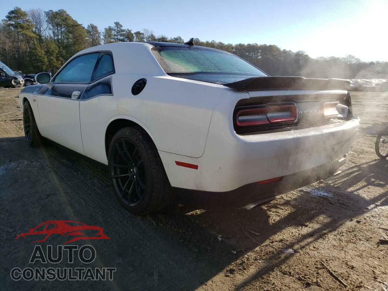DODGE CHALLENGER 2018 - 2C3CDZFJ2JH124049