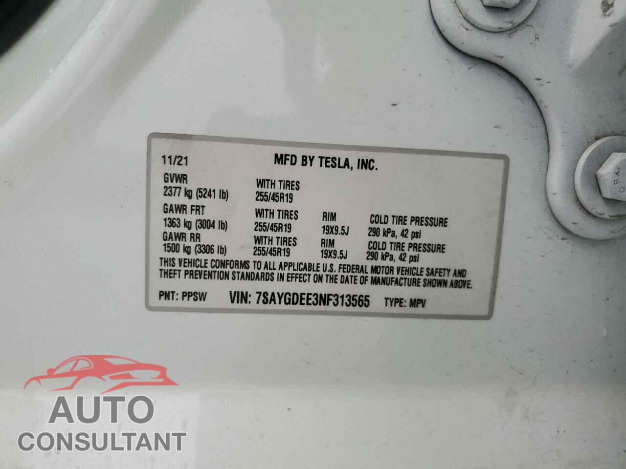 TESLA MODEL Y 2022 - 7SAYGDEE3NF313565