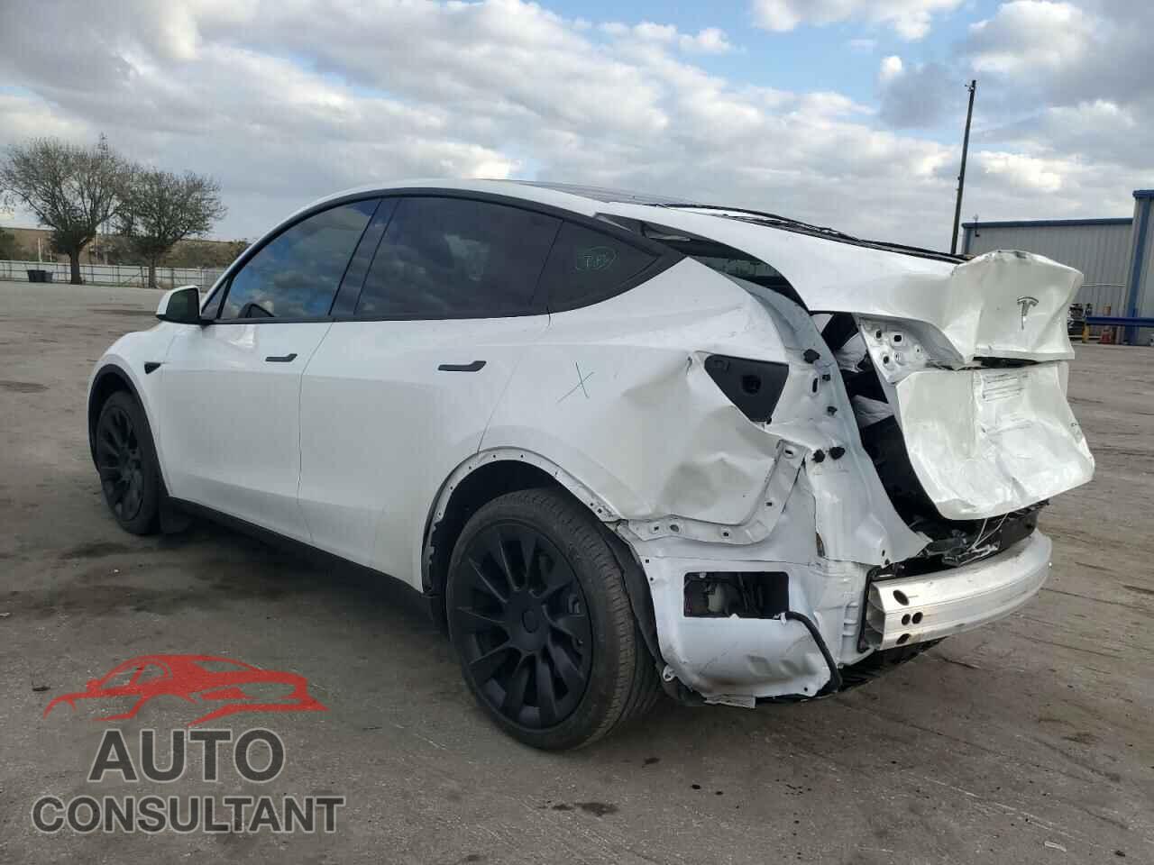 TESLA MODEL Y 2021 - 5YJYGDEEXMF273495