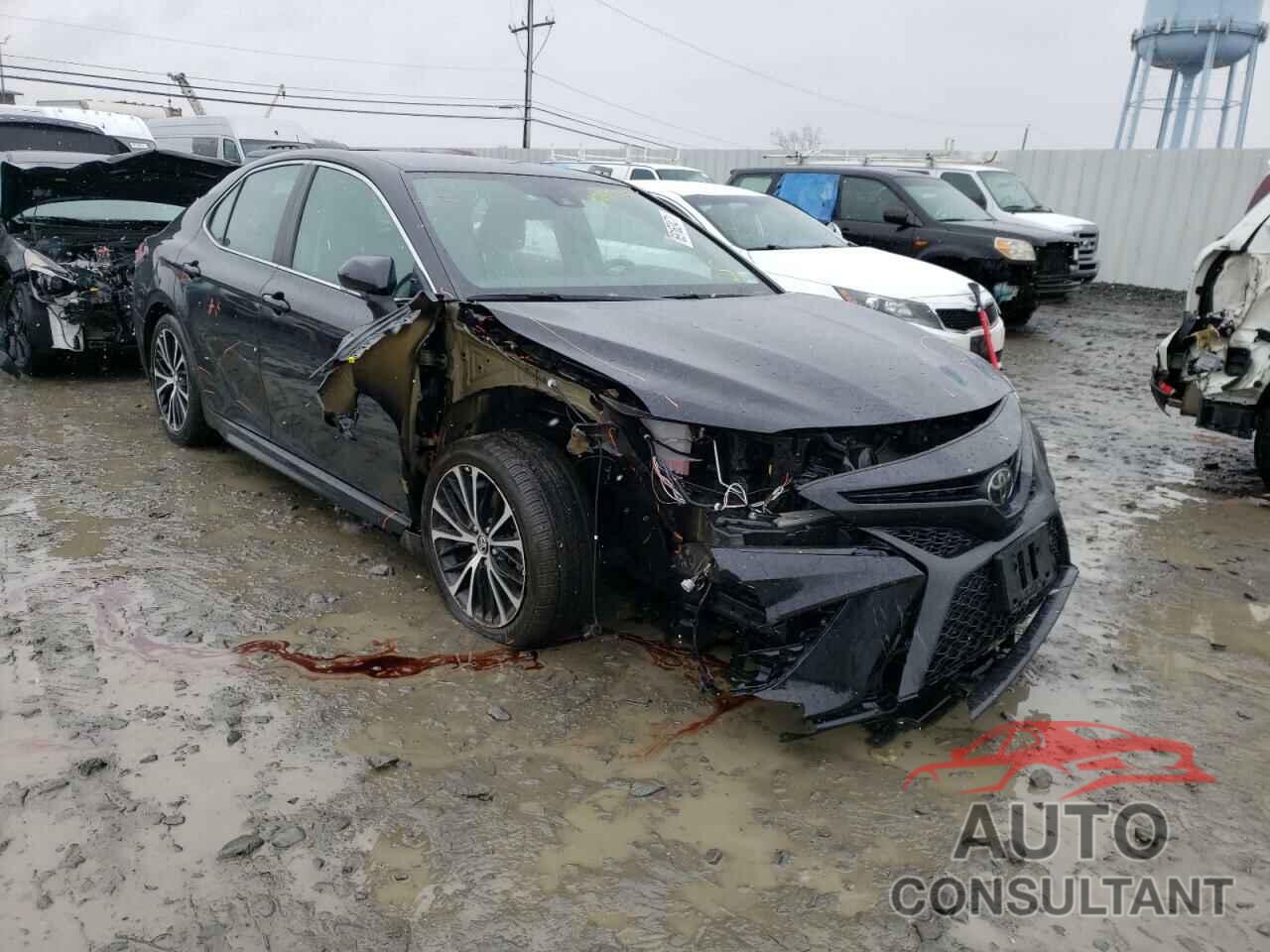 TOYOTA CAMRY 2019 - 4T1B11HKXKU851294