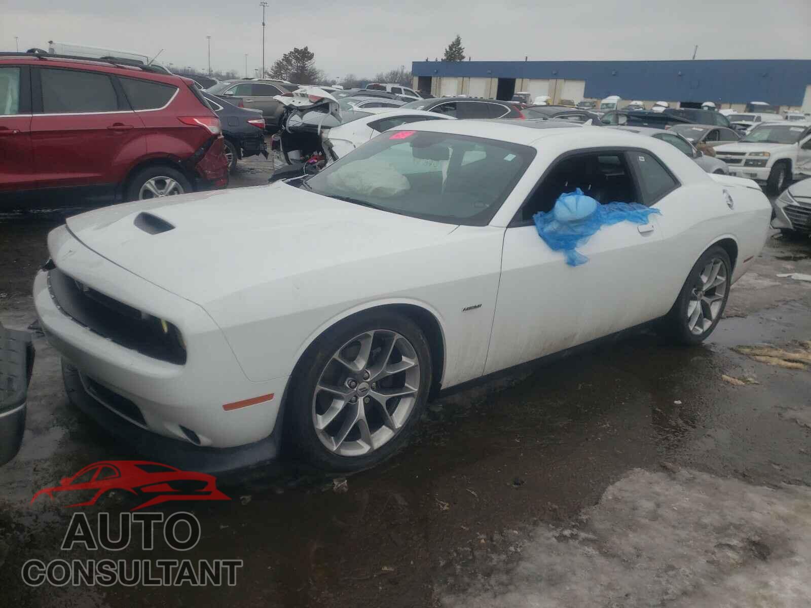 DODGE CHALLENGER 2019 - 2C3CDZBT4KH506611