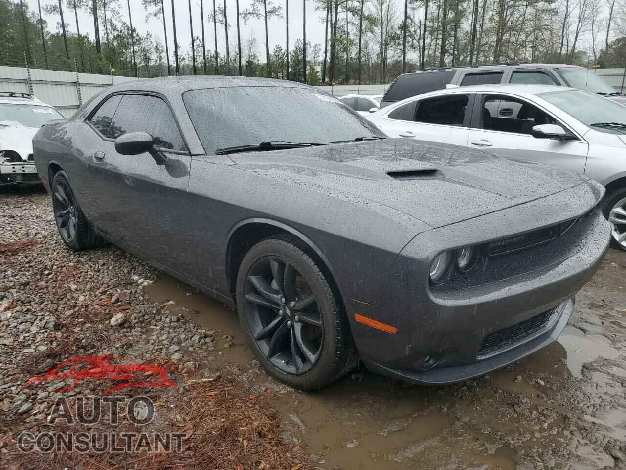 DODGE CHALLENGER 2018 - 2C3CDZAG2JH339149