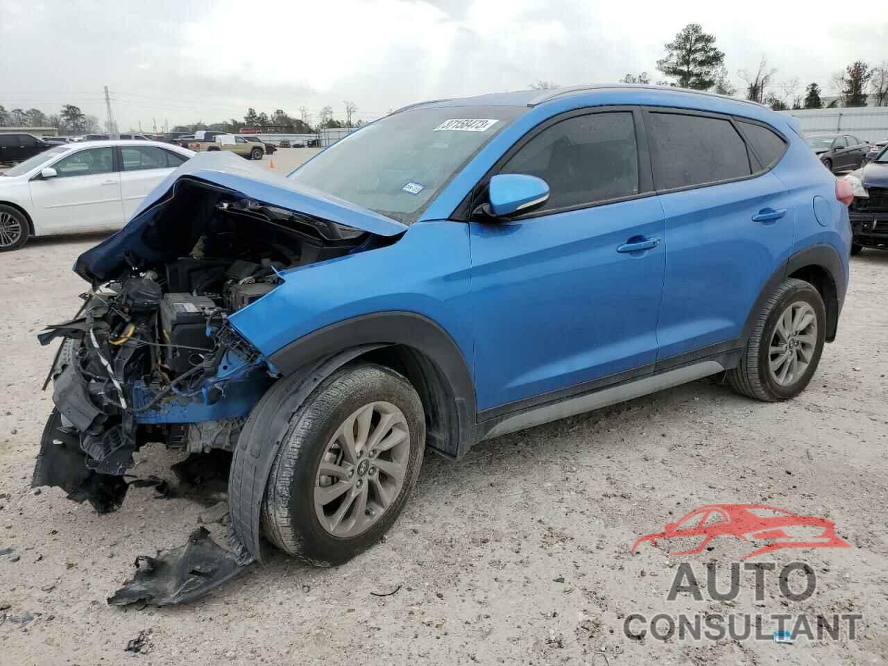 HYUNDAI TUCSON 2017 - KM8J33A41HU527284