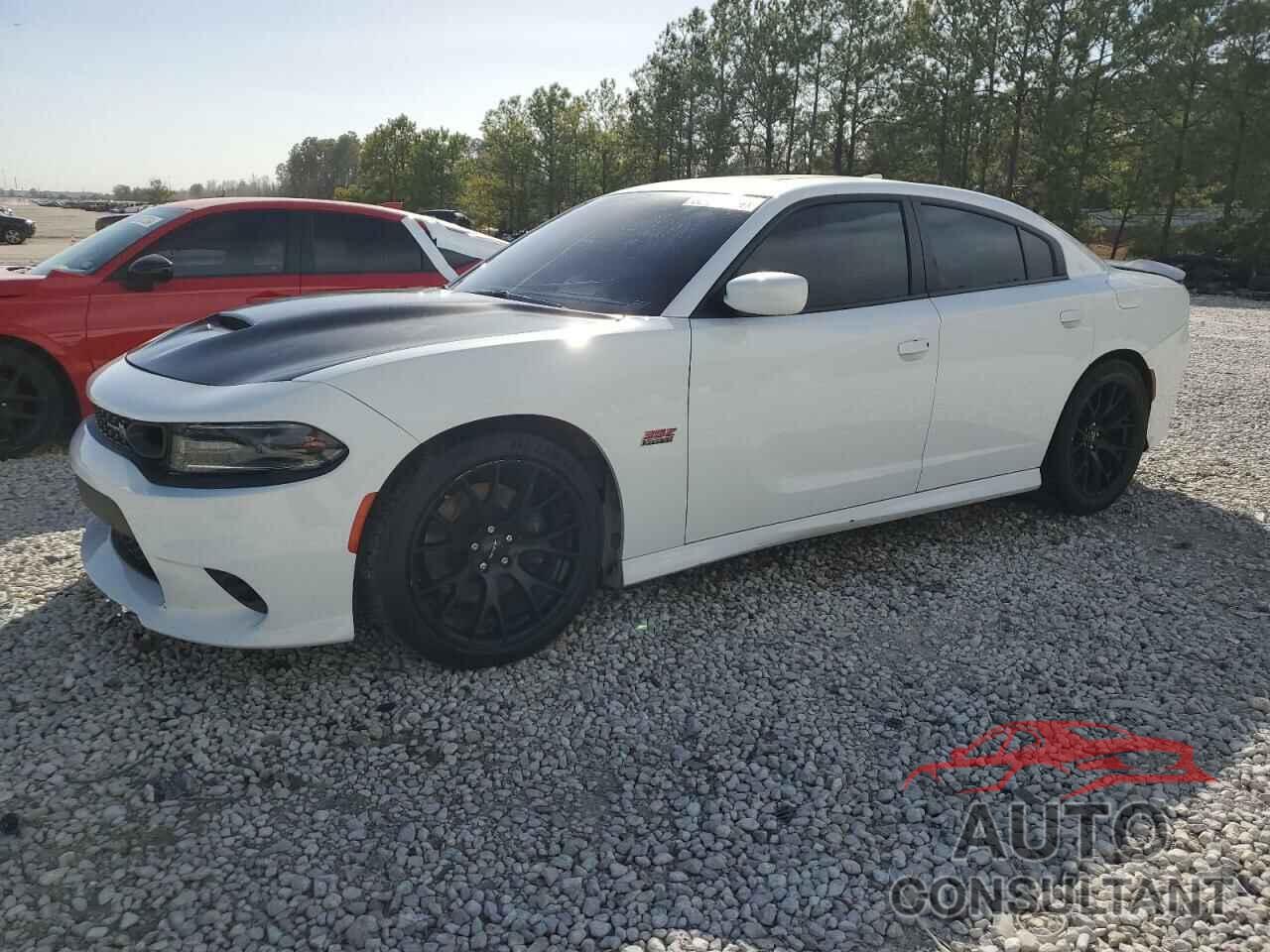 DODGE CHARGER 2019 - 2C3CDXGJ8KH622096