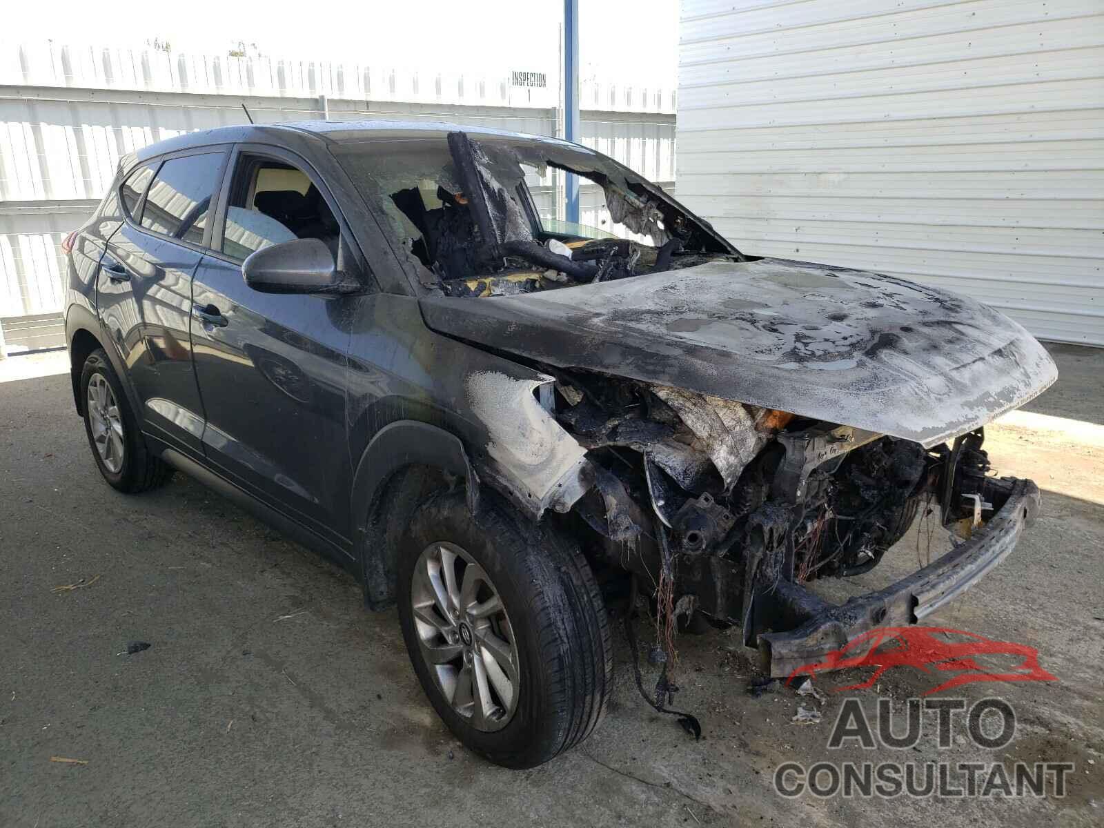 HYUNDAI TUCSON 2016 - KM8J23A42GU043058