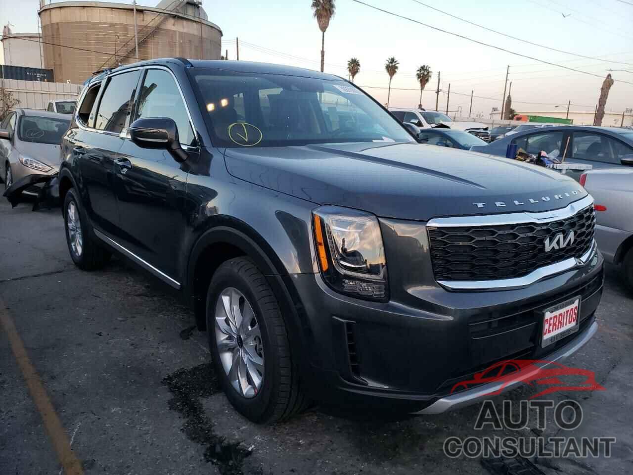 KIA TELLURIDE 2022 - 5XYP2DHC0NG238785