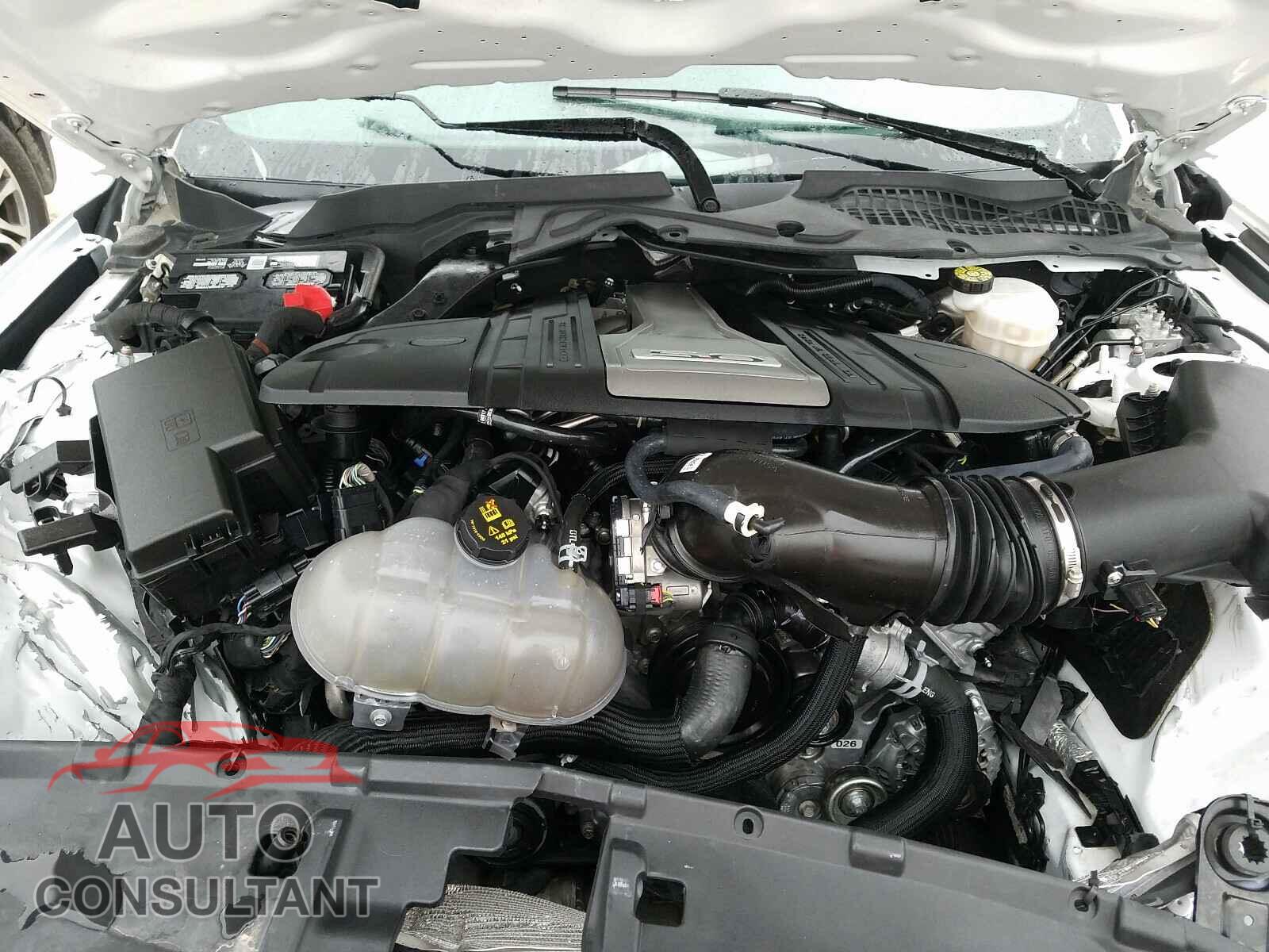 FORD MUSTANG 2019 - 1FA6P8CF4K5192376