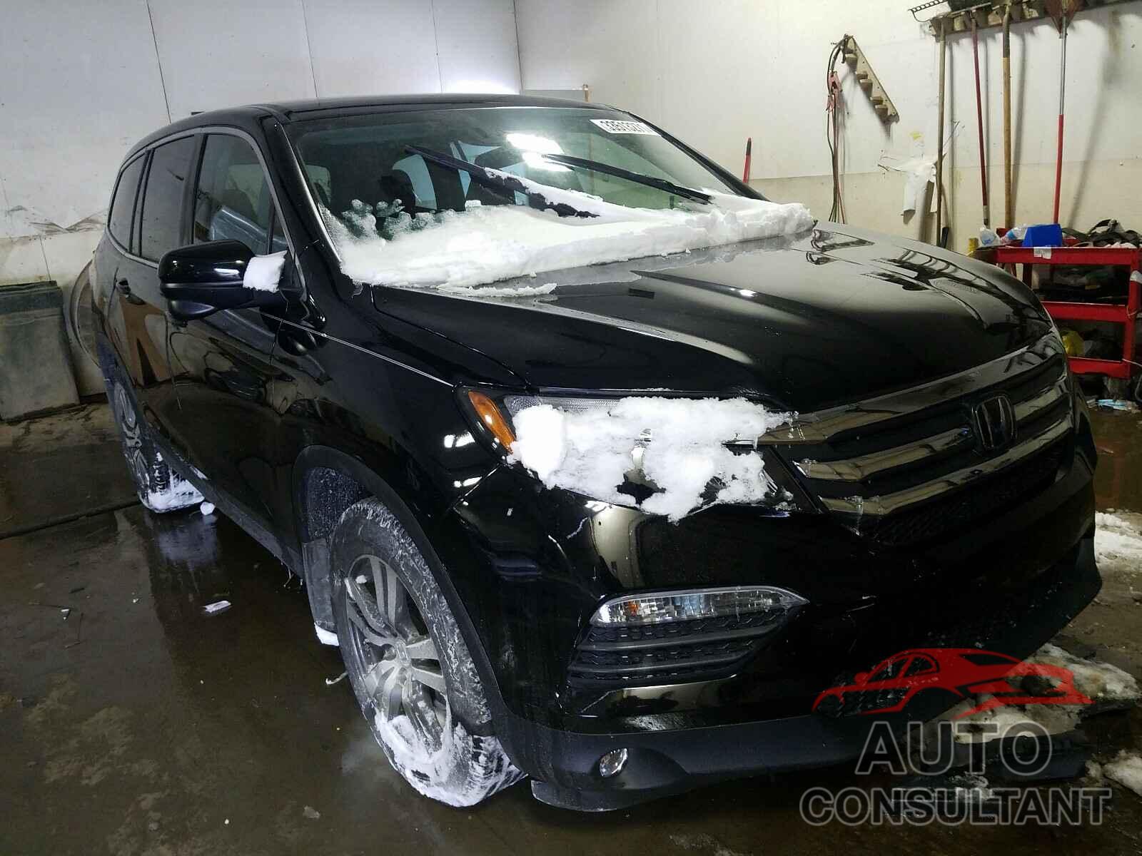 HONDA PILOT 2016 - 5FNYF5H43GB027887