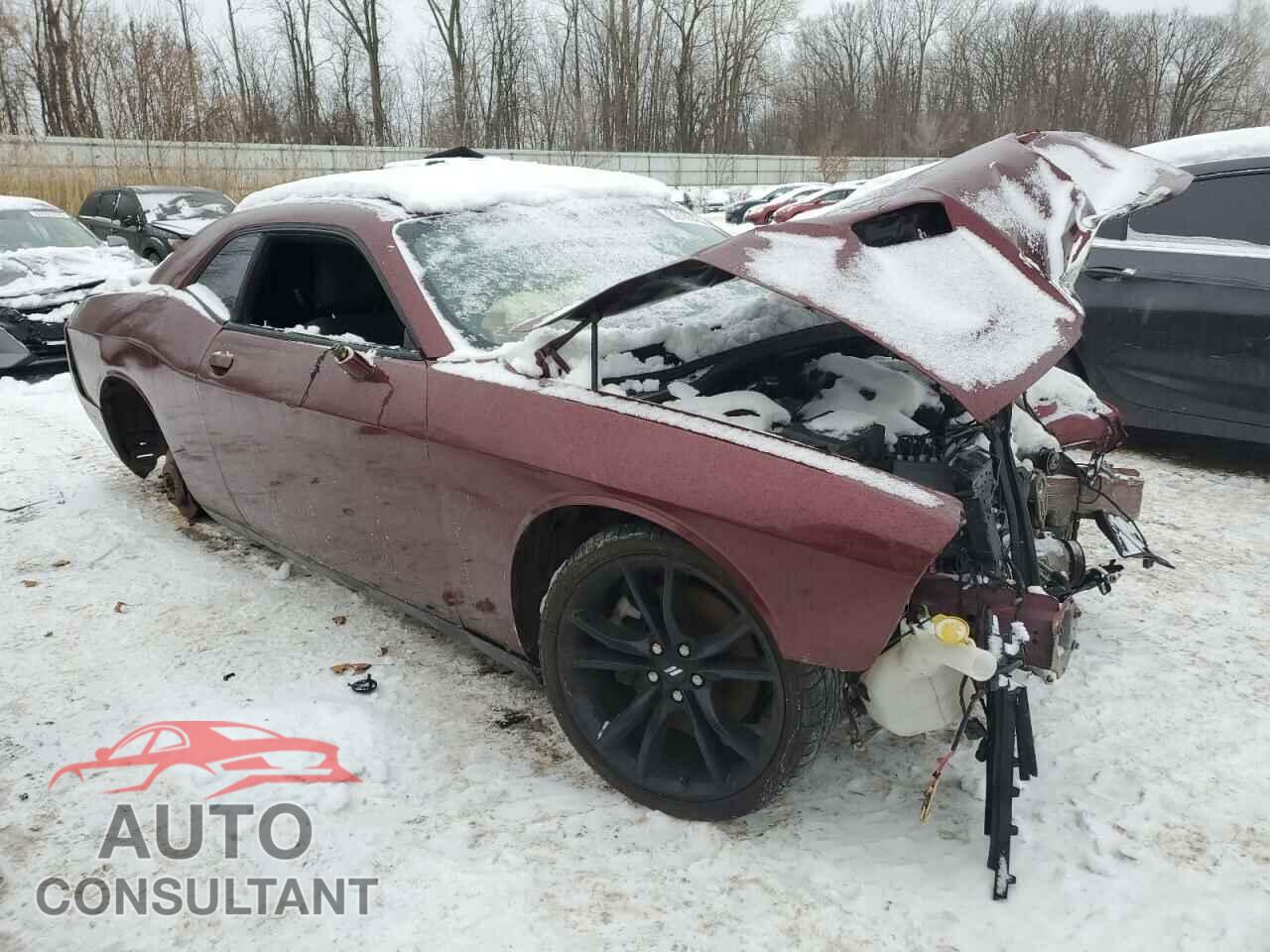DODGE CHALLENGER 2018 - 2C3CDZBT5JH155383