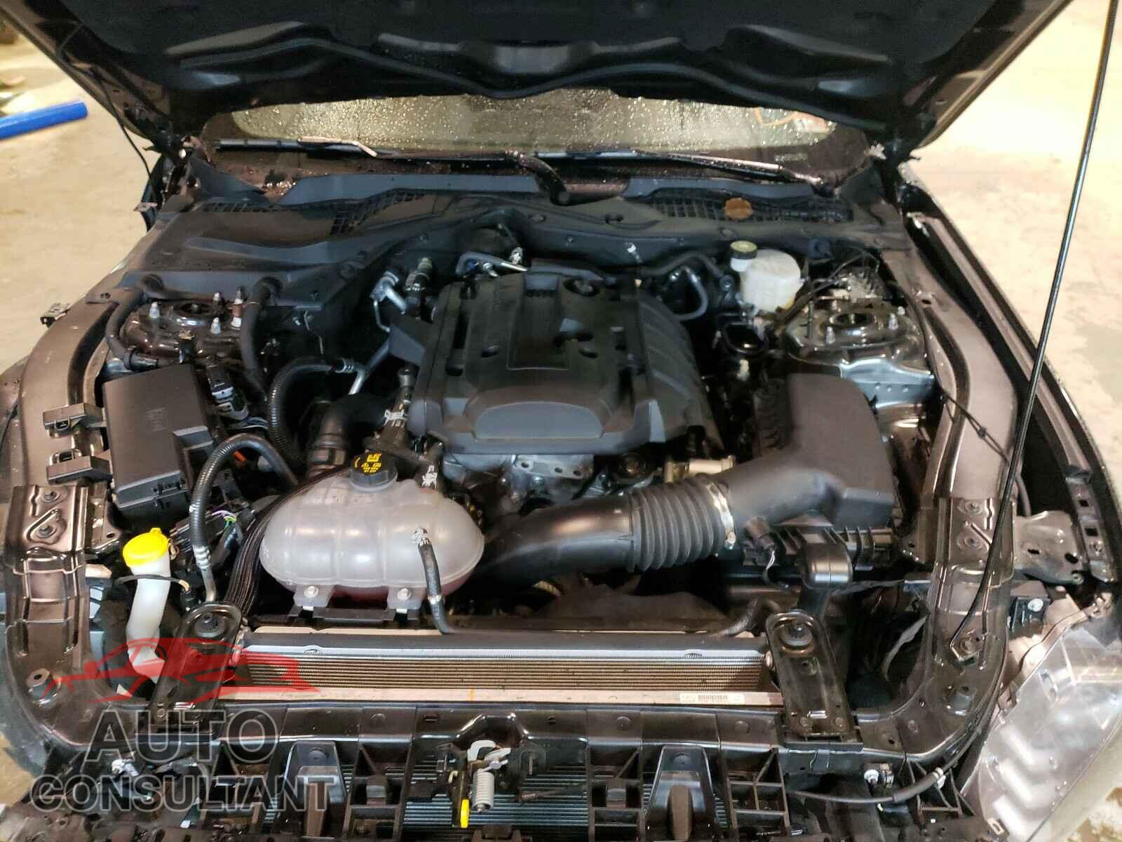 FORD MUSTANG 2019 - 1FA6P8TH8K5203302