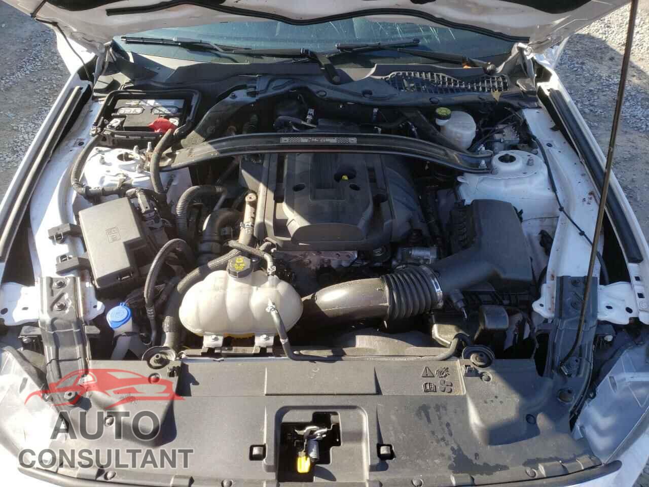 FORD MUSTANG 2020 - 1FA6P8TD3L5181577