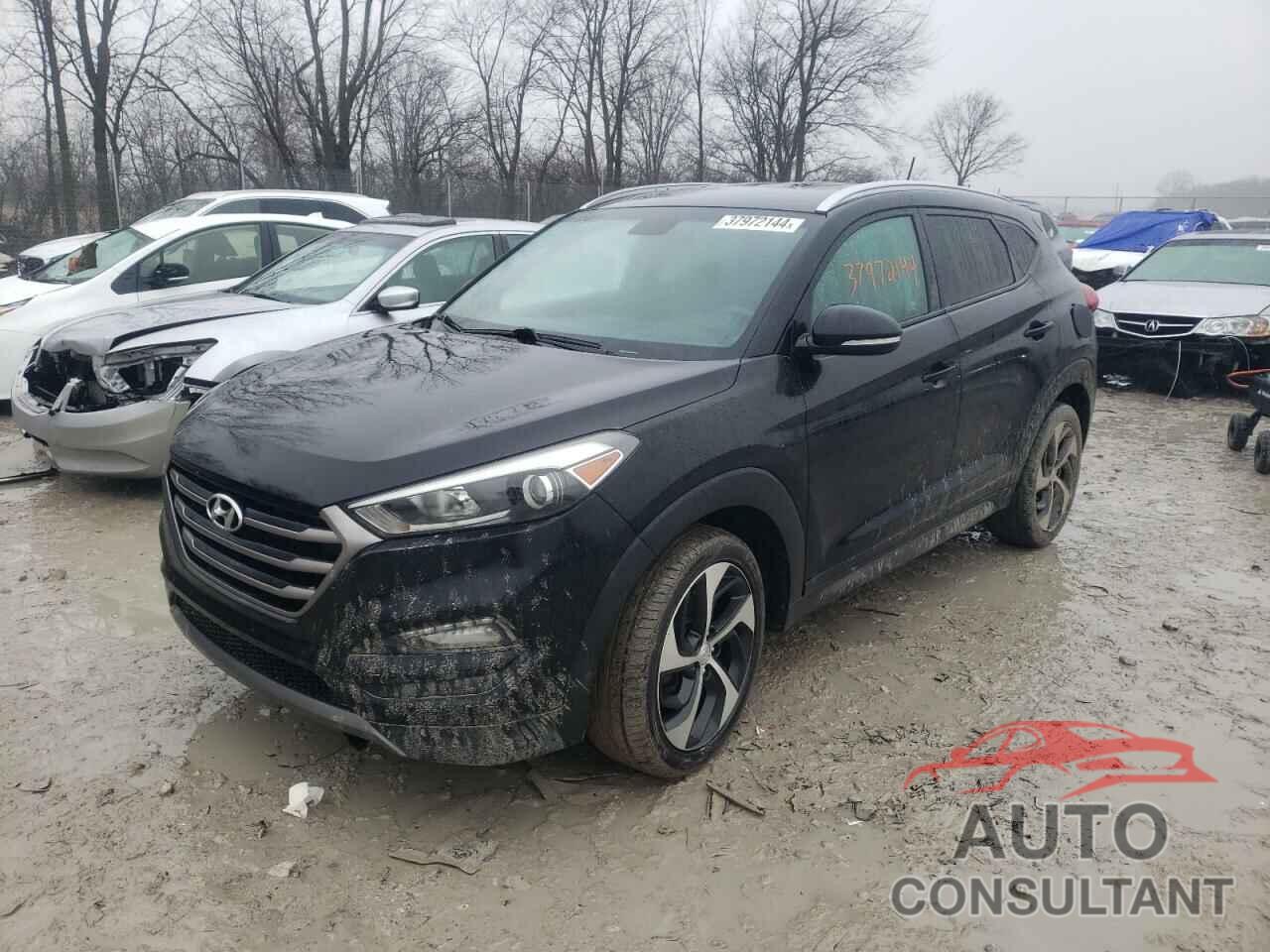 HYUNDAI TUCSON 2016 - KM8J3CA20GU236224