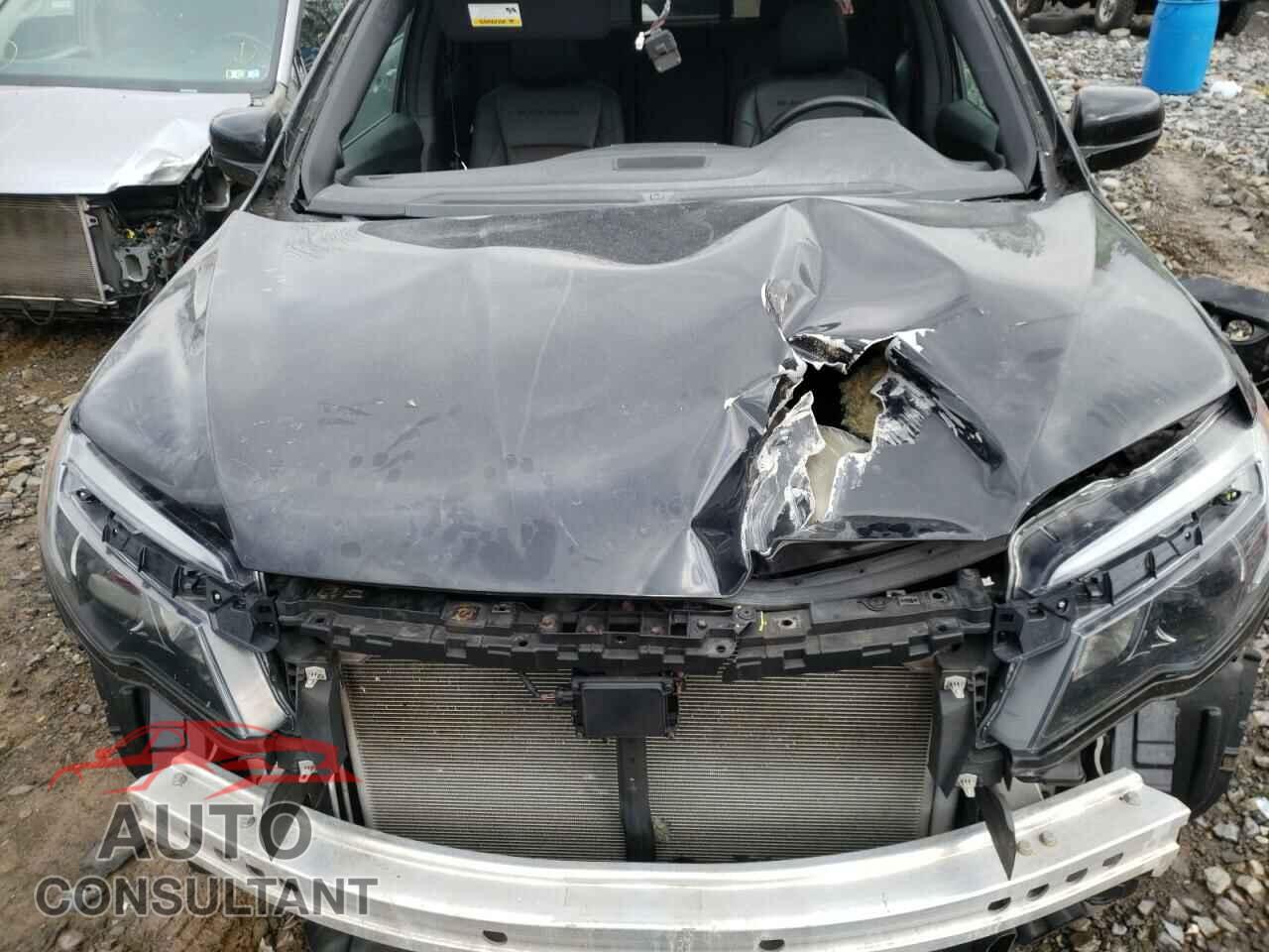 HONDA RIDGELINE 2017 - 5FPYK3F88HB033408
